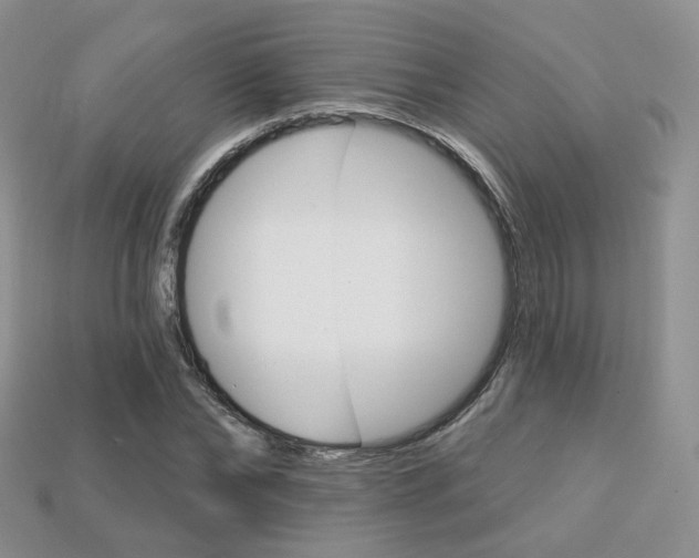 X0000113230878200909100941
