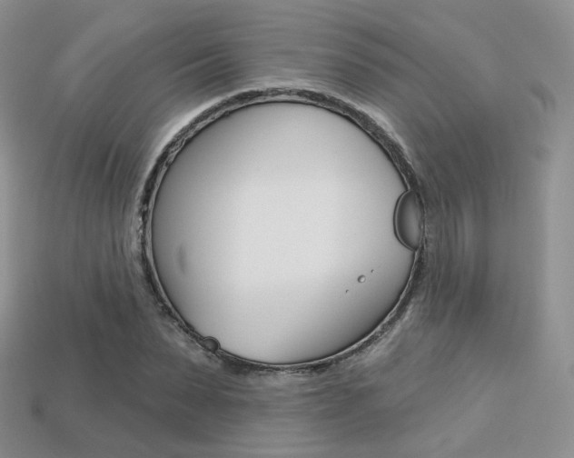 X0000113230879200909100941