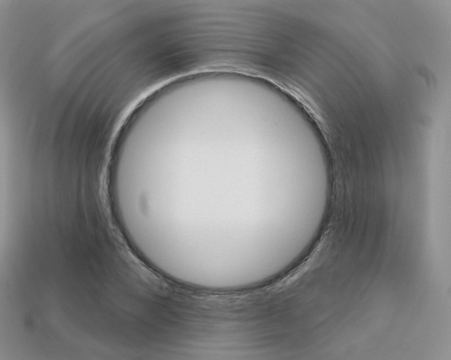X0000113230880200909100941