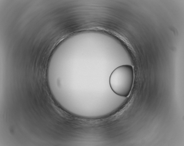 X0000113230881200909100941