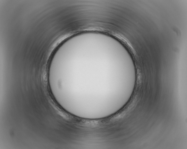 X0000113230882200909100941