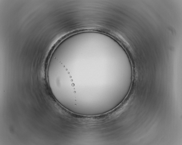 X0000113230883200909100941
