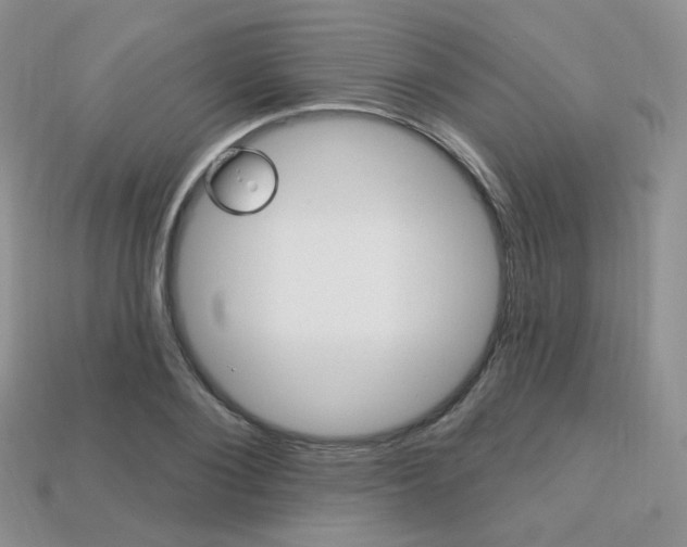 X0000113230884200909100941