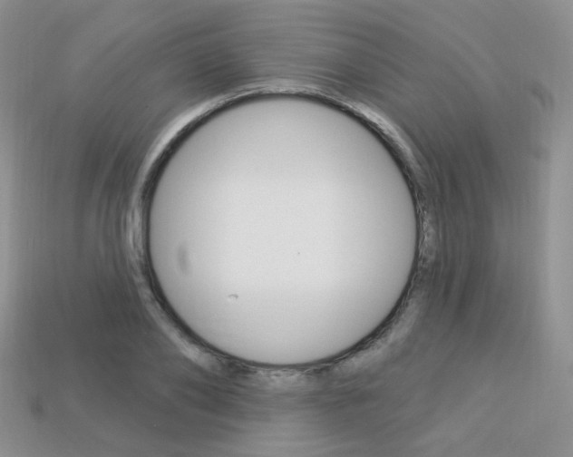 X0000113230886200909100941