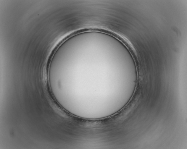 X0000113230887200909100941
