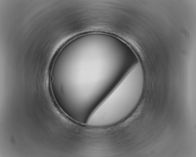 X0000113230888200909100941