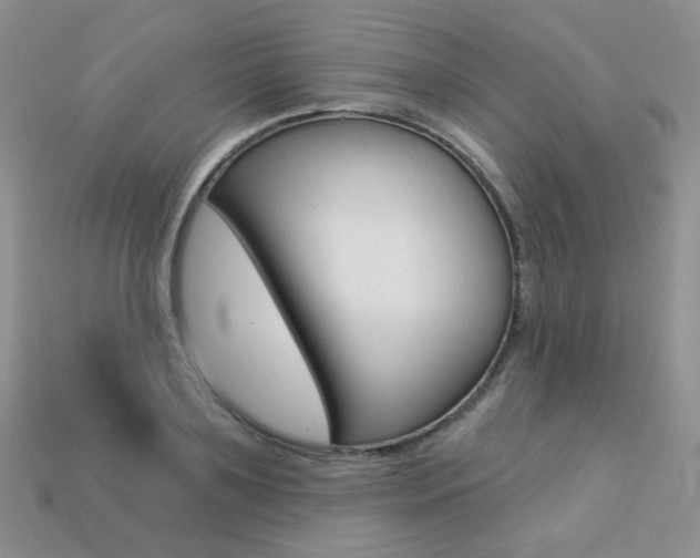 X0000113230891200909100941
