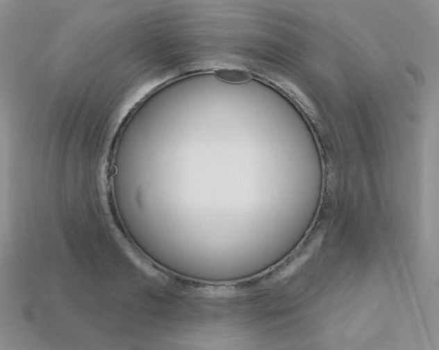 X0000113230893200909100941