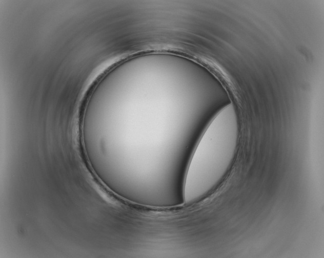X0000113230894200909100941