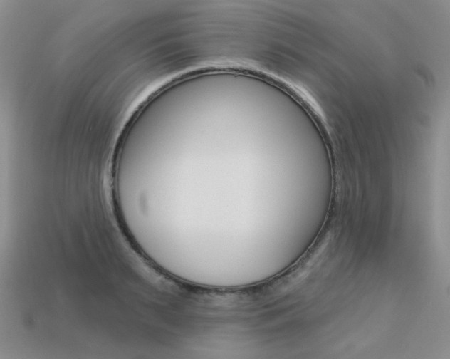 X0000113230895200909100941