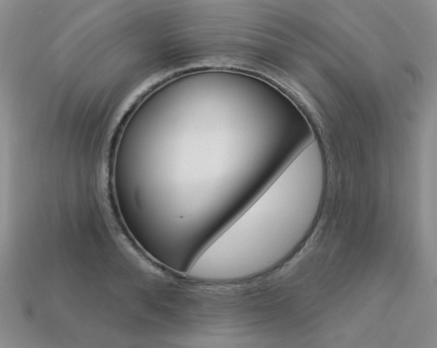 X0000113230896200909100941