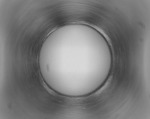 X0000113230897200909100941