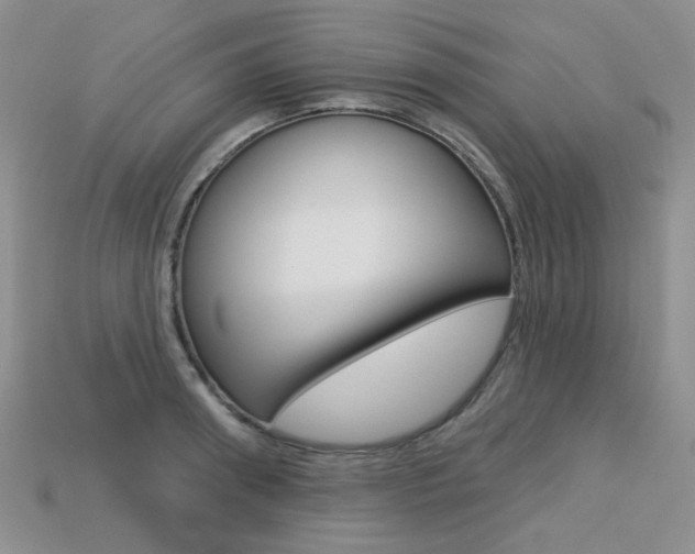 X0000113230898200909100941