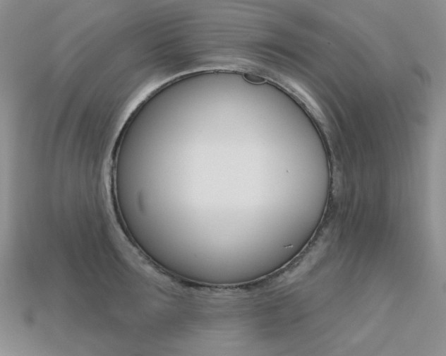 X0000113230899200909100941