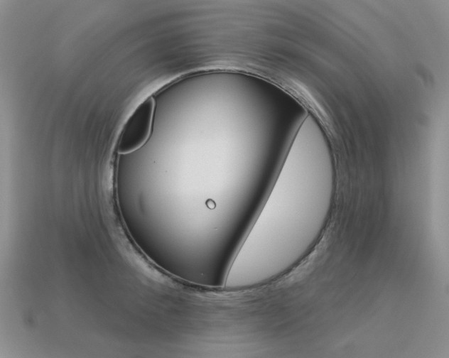 X0000113230900200909100941