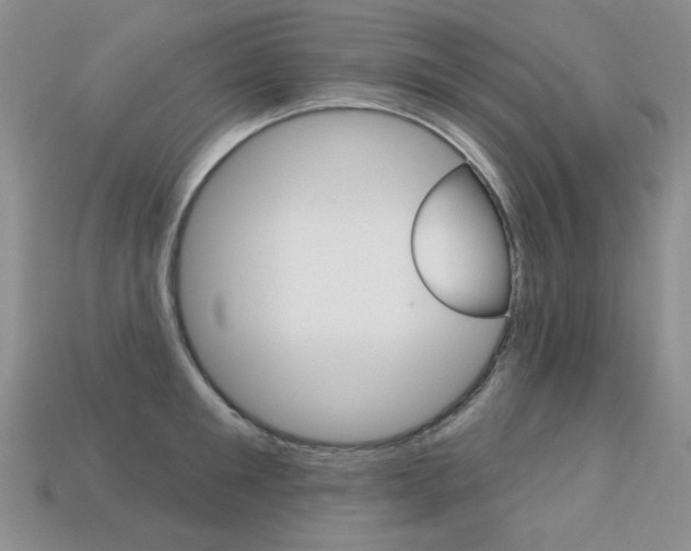 X0000113230901200909100941