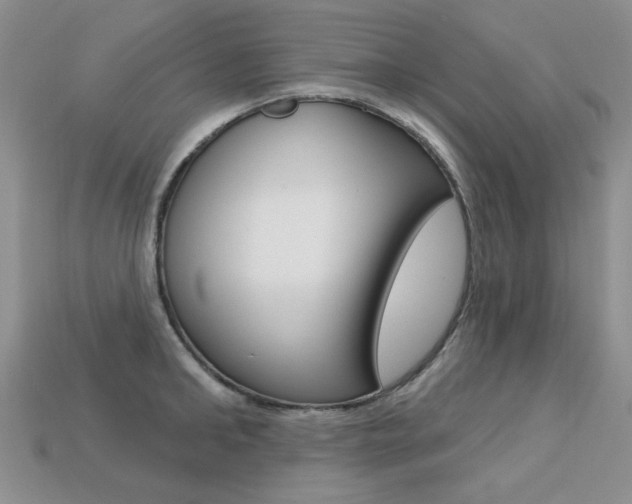X0000113230902200909100941