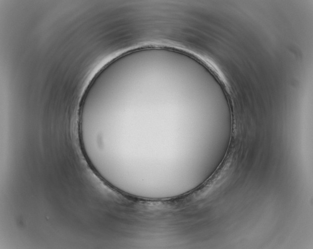 X0000113230903200909100941