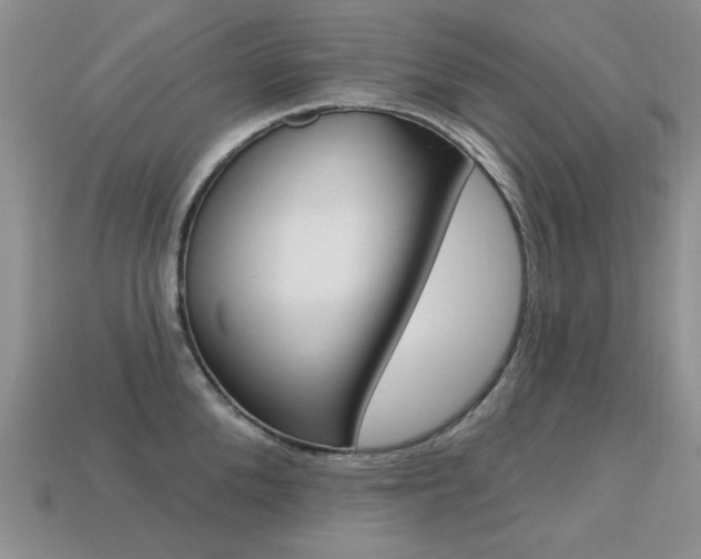 X0000113230904200909100941
