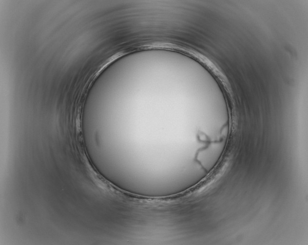 X0000113230905200909100941