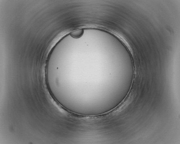 X0000113230906200909100941