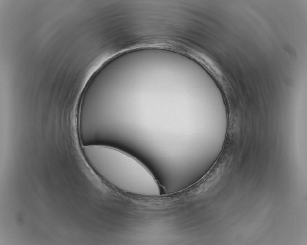 X0000113230907200909100941