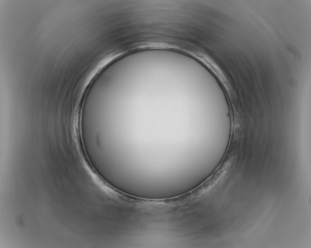 X0000113230909200909100941