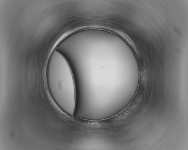 X0000113230911200909100941