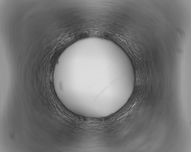 X0000113230913200909100940