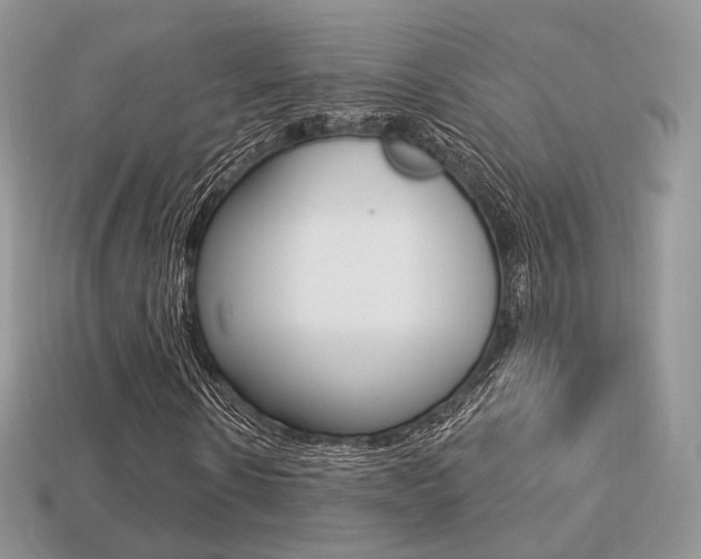 X0000113230914200909100940