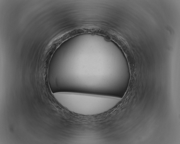 X0000113230920200909100940
