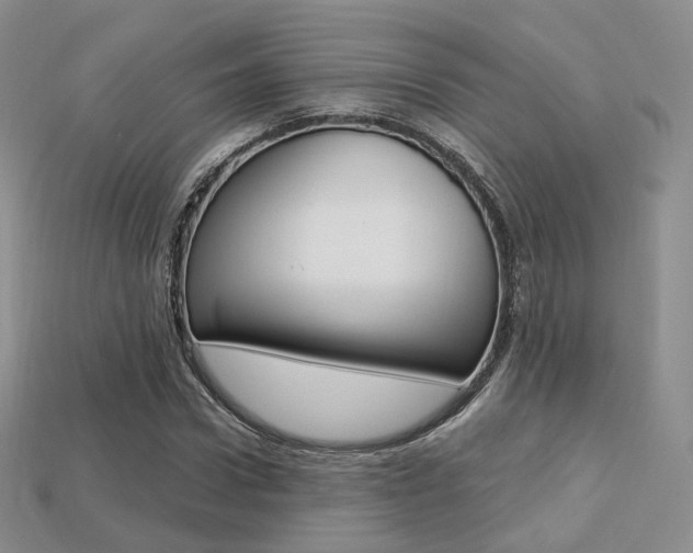X0000113230922200909100940