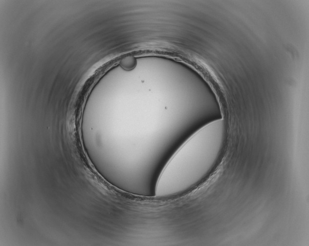 X0000113230923200909100940
