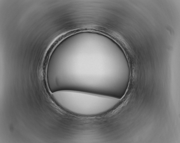 X0000113230924200909100940
