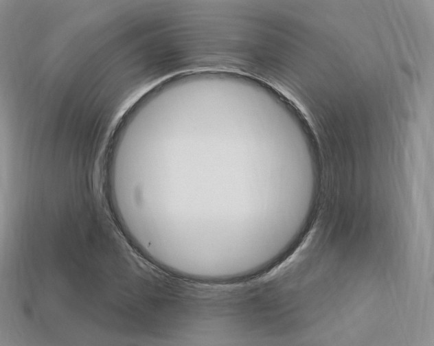X0000113230925200909100940