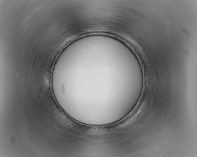 X0000113230929200909100940