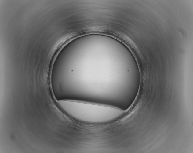 X0000113230930200909100940