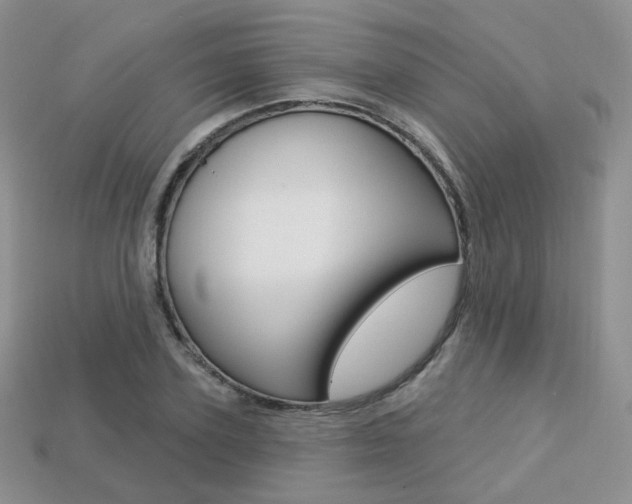 X0000113230931200909100940
