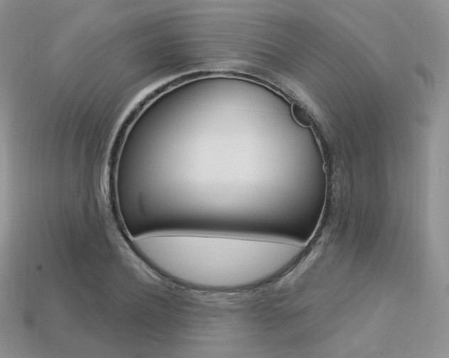 X0000113230932200909100940