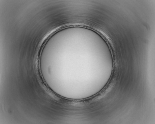 X0000113230933200909100940