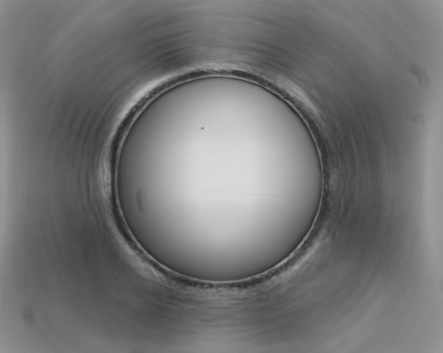 X0000113230934200909100940