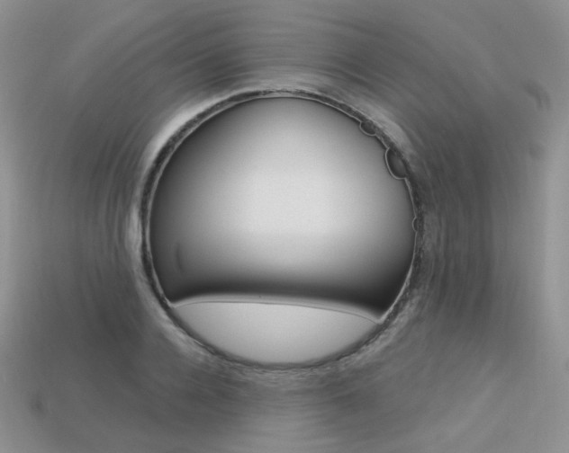 X0000113230936200909100940