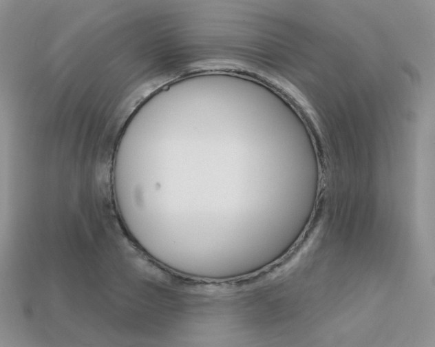 X0000113230937200909100940
