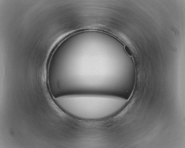 X0000113230940200909100940