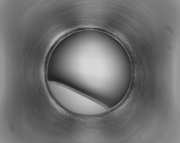 X0000113230942200909100940