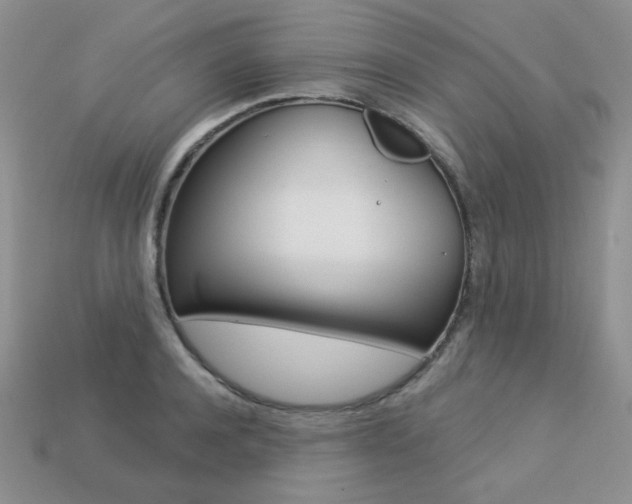 X0000113230944200909100940