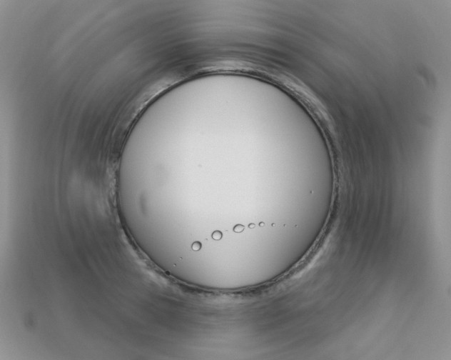 X0000113230945200909100940