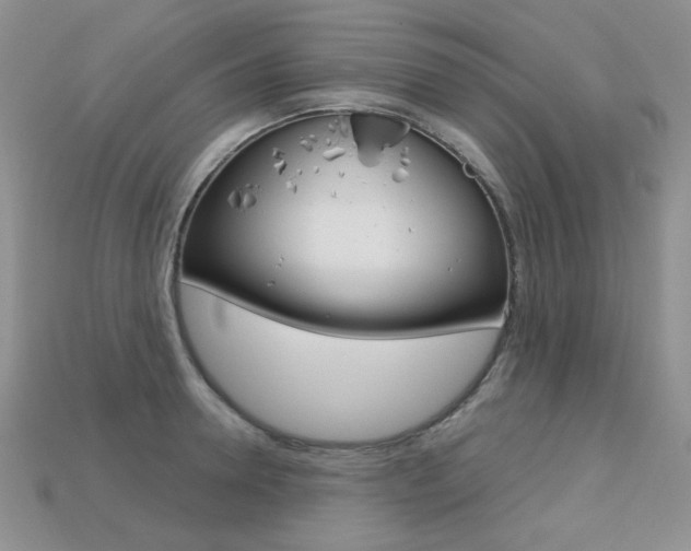 X0000113230946200909100940