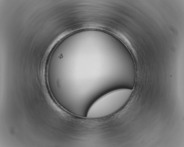 X0000113230947200909100940