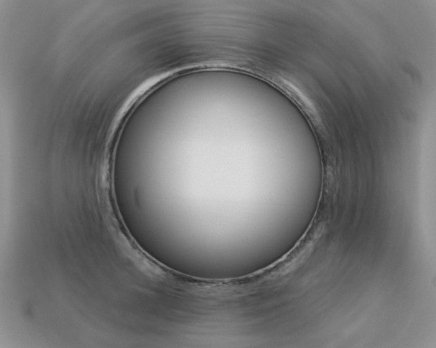 X0000113230948200909100940
